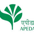 Opening For Deputy General Manager Jobs in Apeda