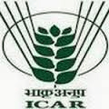 Recruitment For Technical Assistant Jobs in Ciae