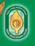 Recruitment For Lower Division Clerk Jobs in Ctri central tobacco research institute