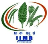 Business Executive/ Office Assistant /Support Staff Jobs in IIMR