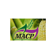 Opening For Accountant Vacancy Jobs in Macp