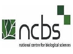 Intern Vacancy Jobs in NCBS 