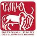 Project Officer Vacancy Jobs in National dairy development board