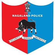 Gov Job For Various 28 Posts Jobs in Nagaland police
