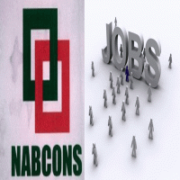 Project Consultant Jobs in NABCONS