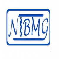 Data Analyst Jobs in NIBMG