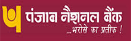 Manager 103 Post Jobs in Punjab National Bank