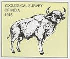 Junior Research Fellow Post Jobs in Zoological survey of india