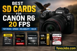 best sd cards for canon r6 20 fps